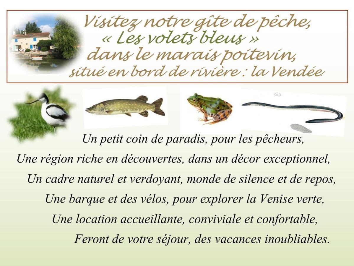 Marais Poitevin Gite "Volets Bleu Clair": Rustic Retreat with Fishing, Boating, and Cycling La Taillee Exterior photo